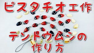 ピスタチオ工作/てんとう虫の作り方　How to make Ladybug of pistachio