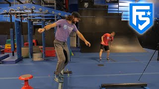 The ULTIMATE Game of NINJA Precision Jump Edition Flip Side Ninja Park
