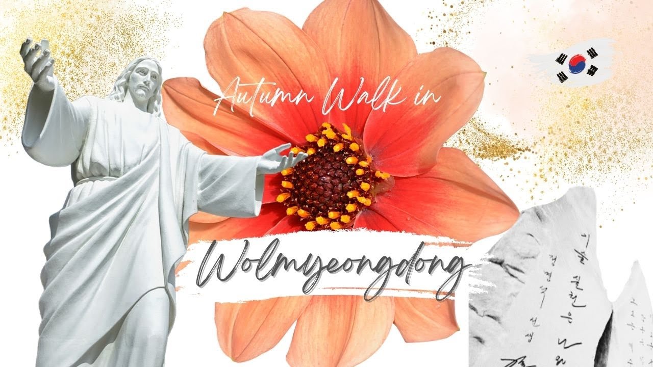 MUST VISIT Autumn Walk in WOLMYEONGDONG | 월명동 대둔산 단풍