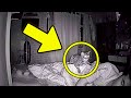 O Gato Encara o Dono a Noite Toda. O Dono Verifica o vídeo e Descobre o Porquê