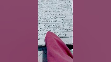 surah ikhlas #سورة_الإخلاص #ikhlas #statusvideo #egzonibrahimi