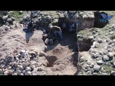 שודדי עתיקות בתל תקוע - Antiquities Robbers at Tel Tekoa