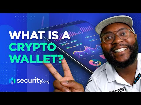 Beginner's Guide to