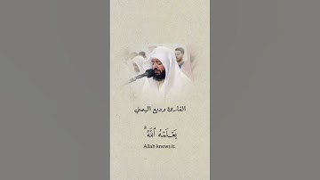 تلاوة خاشعة بديعة 🤍 ‏﴿الحَجُّ أشْهُرٌ مَعْلُوماتٌ ..﴾ || #وديع_اليمني