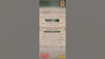#يارب #اكسبلور #رمضان #ترند #لايك #يوم_الجمعة #المصحف #سورة_الكهف