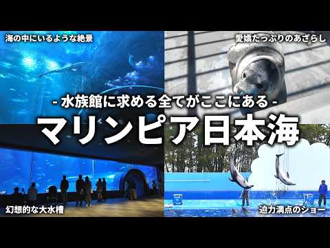 【満足度120%】水族館の魅力をすべて詰め込んだ場所が新潟にありました…｜新潟市水族館マリンピア日本海【水族館マニアが徹底解説レビュー】