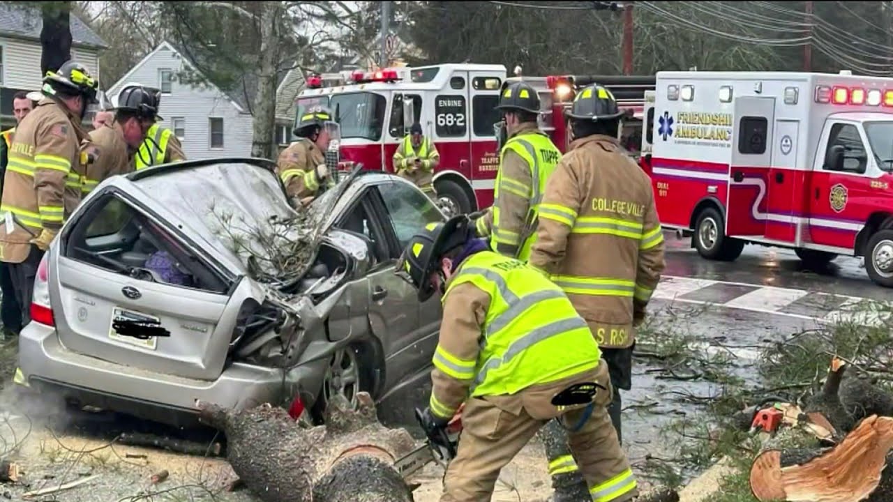 Tree falls on a car in Collegeville killing an 82-year-old woman - YouTube