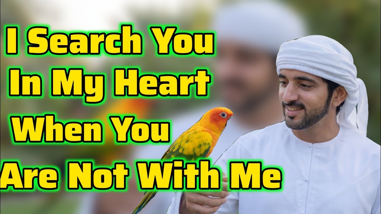 Я ищу тебя в своем сердце, когда ты | Стихи шейха Хамдана Фаззы | Принц Дубая | Стихи Фаззы