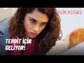 Mikser Doktor Şeniz'in Yanına Geliyor! - Zalim İstanbul 28.Bölüm