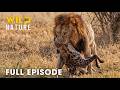 Enter Savage Mp3 Mp4 Free download
