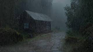 Celebrity Say Goodbye to Stress 🌧️ Rainfall Ambience for Deep Sleep, Calm Focus, and Serenity 😌 Profile