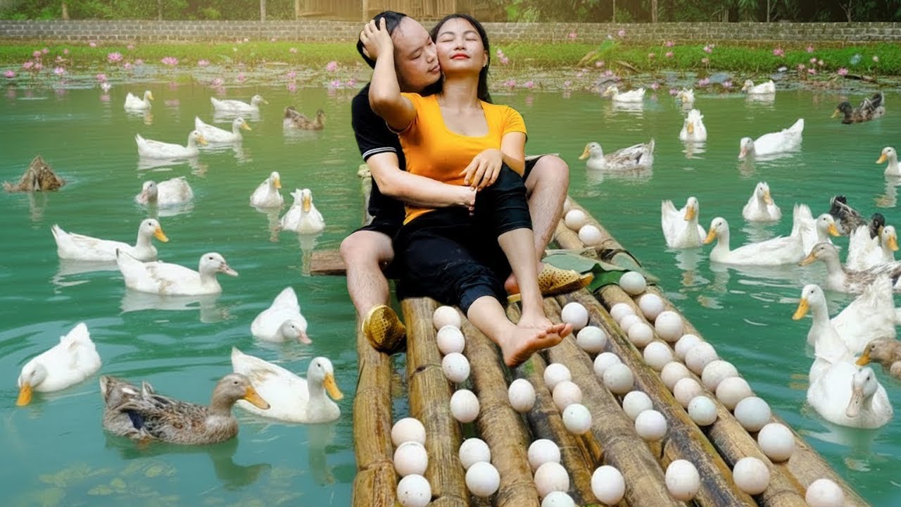Kind Wife Helps Harvest Duck Eggs and Sell Fresh Eggs at the Local Market