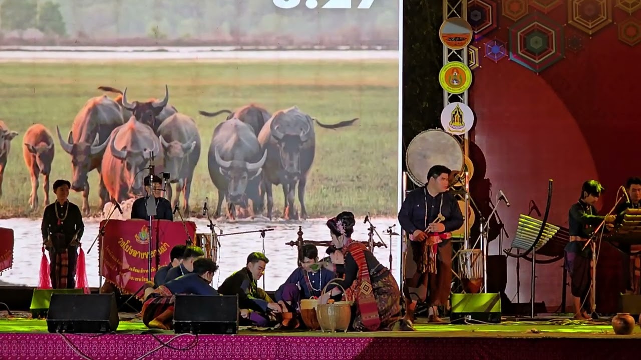 โปงลางคณะหลานย่า มหกรรมโปงลางสวนสาธารณะแก่งดอนกลาง กาฬสินธุ์#ท่องเที่ยวเชิงวัฒนธรรม 