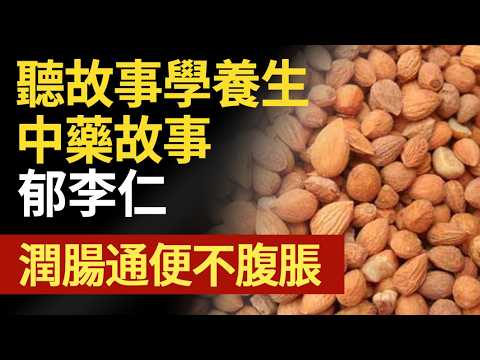 郁李仁功效為潤燥滑腸、下氣利水,用於津枯腸燥、食積氣滯、腹脹便秘、水腫腳氣 #中医健康养生 - YouTube