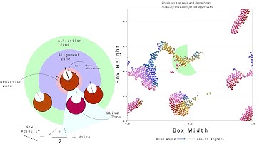 Couzin model #modelshorts