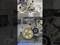 FK812D Automatic Paging Bag Top & Bottom Labeling Machine