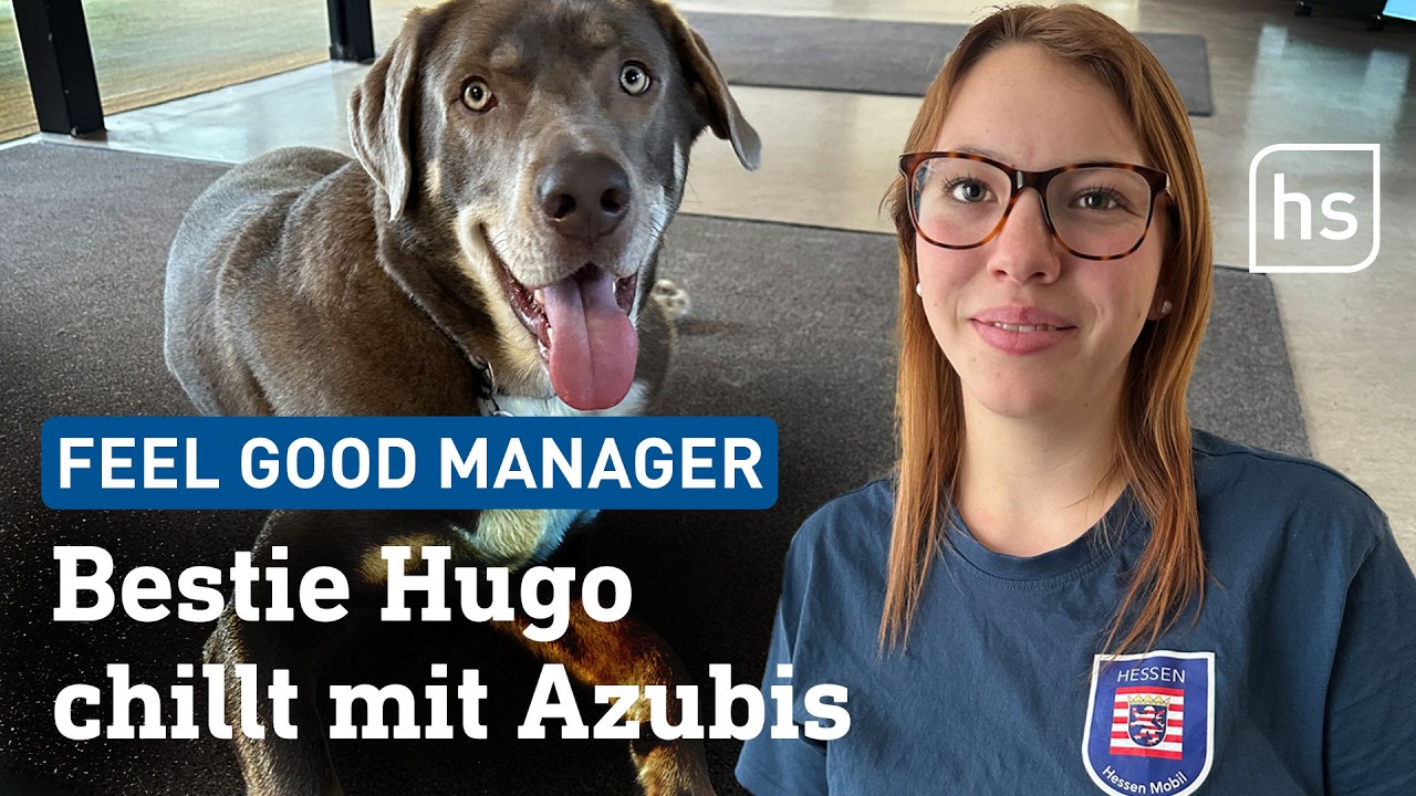 Azubi-Hund Hugo ist der Gute-Laune-Beauftragte | hessenschau