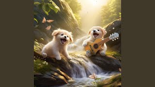 Harmonic Music with Paws
