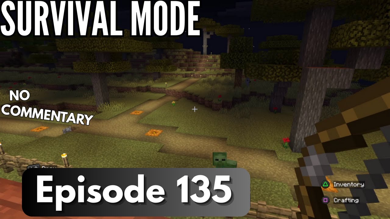 Minecraft Survival Mode, Episode 135 No Commentary