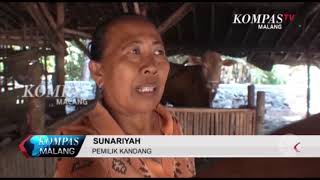 Kompas Malang 14 September 2018 Seg 2