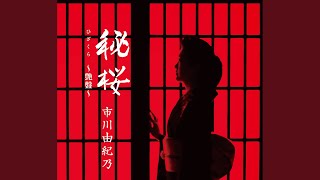 【叩き上げ歌姫】市川由紀乃の歌いやすい曲