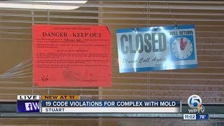 Famous 19 code violations for complex with mold Profile
