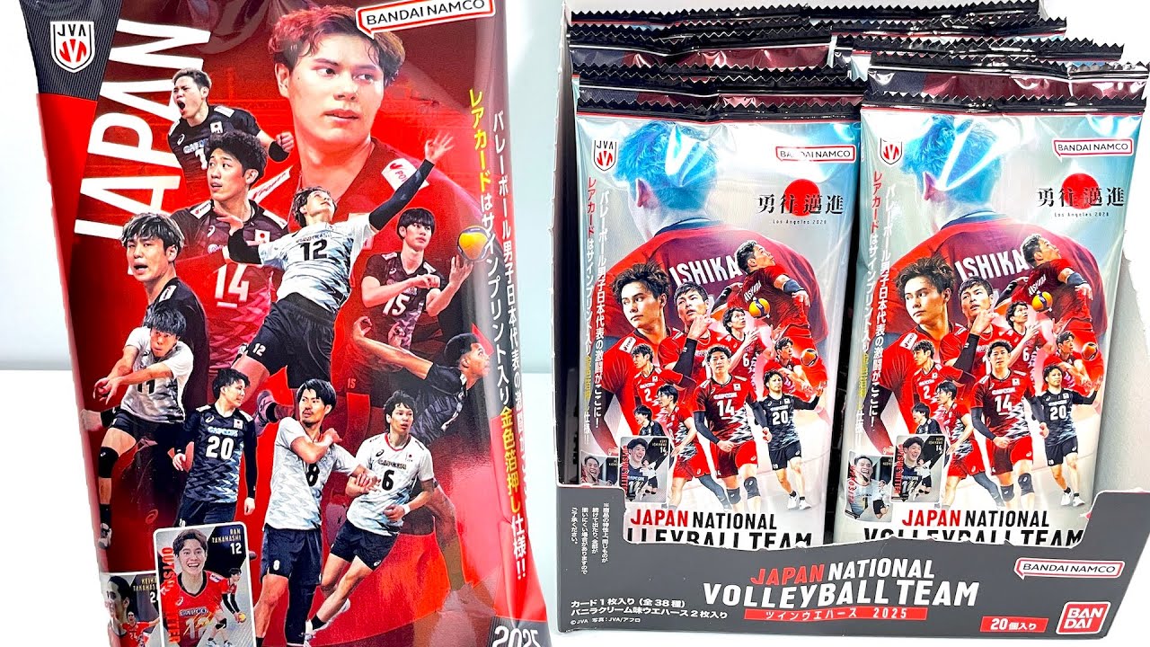 JAPAN NATIONAL VOLLEYBALL TEAM ツインウエハース JAPAN NATIONAL VOLLEYBALL TEAM ツインウエハース 2025｜発売日