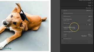 Save a print as a JPEG in Lightroom Classic