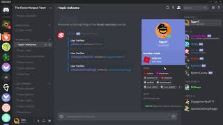 Discord Role Colors Bug