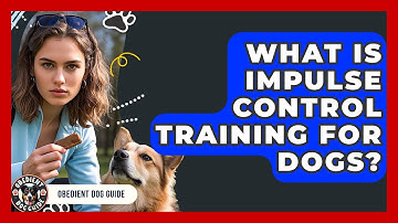 What Is Impulse Control Training for Dogs? | Obedient Dog Guide