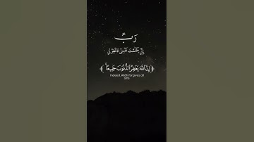 تلاوة خاشعة تريح النفس بصوت محمد اللحيدان #قرآن #القرآن_الكريم #راحة_نفسية
