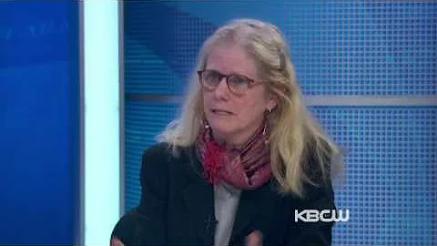 Alison Carpenter Davis discusses her historical bo...