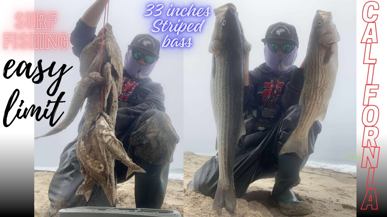 Surf Fishing in California | Surfperch & Striped Bass fishing hooked up ...