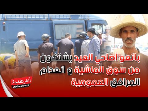 طنجة بائعو أضاحي العيد يشتكون من سوق الماشية و انعدام المرافق العمومية