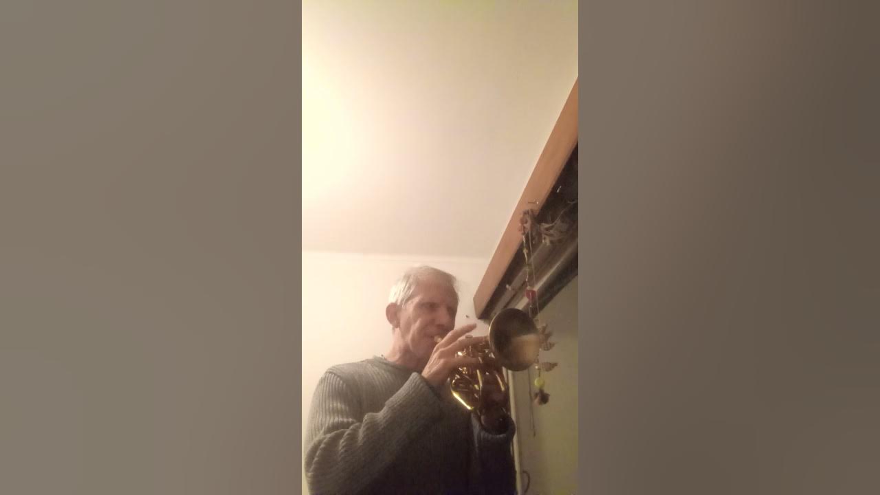 Wall, Don't Run, Herb Alpert, cover MauriGold. YouTube
