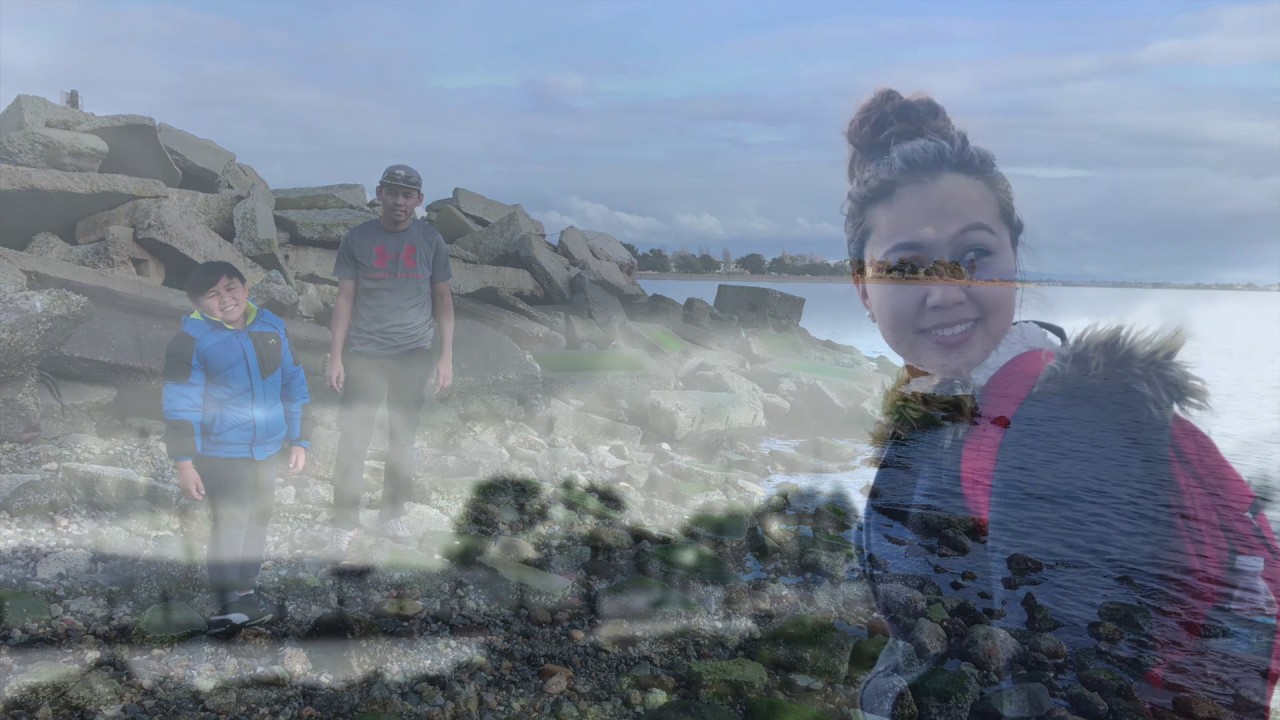 Crab Cove Alameda, California