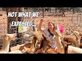 Feeding All the Animals From Arizona to Utah