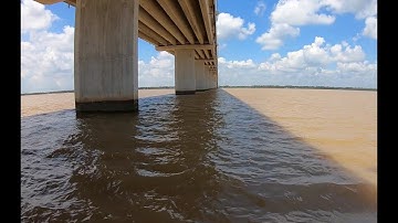 Câu tôm sông dưới chân cầu Cổ Chiên