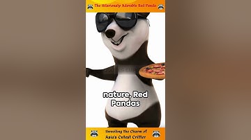 The Hilariously Adorable Red Panda : Unveiling the Charm of Asia
