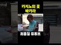 카지노의 꽃 바카라