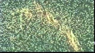 Rendezvous in Space. (Complete film from the 1964 World's Fair) Rendezvous in Space. (Complete film from the 1964 World's Fair)