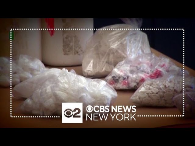 Exclusive New York City Accounted For 10 Of All Fentanyl Seized In U S In 2023