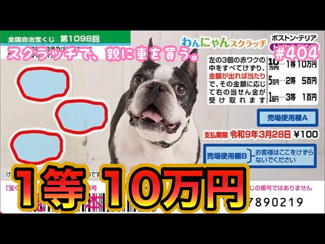 Ten tickets for revenge!! [Wan-Nyan Scratch Boston Terrier