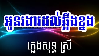 អូនរងារដល់ឆ្អឹងខ្នង❤️ ភ្លេងសុទ្ធ ស្រី🎤[ Mara Karaoke ]