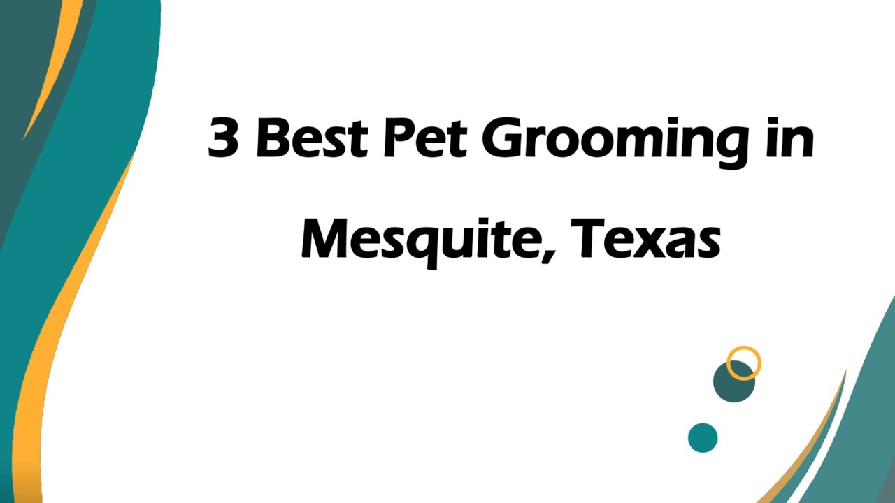 3 Best Pet Grooming in Mesquite, Texas | Pet Salons