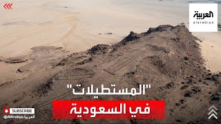 اكتشاف أثري في السعودية يعد من أقدم الآثار في العالم