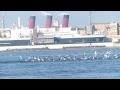ディズニーランド沖のなぶら