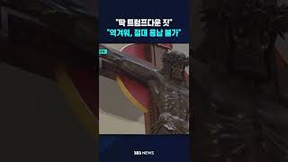 참..꼴ㄱ 도 풍년일세..  #트럼프 #미국 #교황 #SBS #뉴스