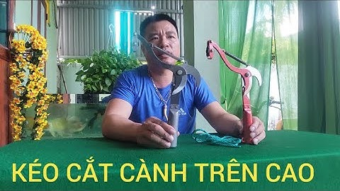 ĐẦU KÉO CẮT TỈA CÀNH CÂY HÁI HOA QUẢ TRÊN CAO AN TOÀN THUẬN TIỆN 