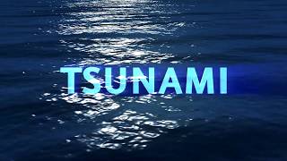 Tsunami Warning Center